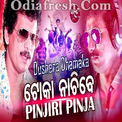 Toka Nachibe Pinjiri Pinja - Odia Dance Song By Papu